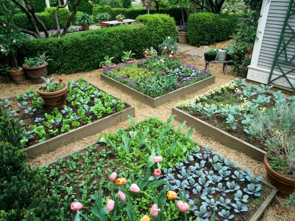 Efficient Space Utilization with the Best Garden Planner