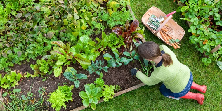 Free Up Your Time: Streamline Your Garden with Efficient Planners & Organizers Free Up Your Time: Streamline Your Garden with Efficient Planners & Organizers